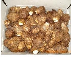 【供应优质，绿色无公害的保鲜出口级】芋头欢迎咨询