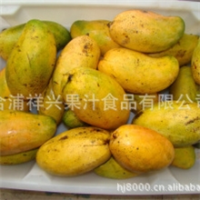 厂家供应芒果果肉海南台农芒果