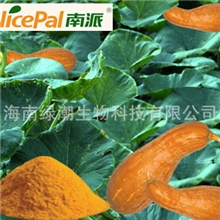 南派南瓜粉原料（颜色、气味跟鲜榨南瓜汁一样）