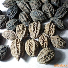 供应秦岭大山出产把玩艺术山核桃，切片工艺山核桃，做种用山核桃