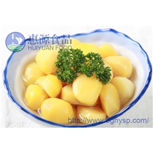 厂家专业提供优质新鲜板栗纯绿色食品丹东特产