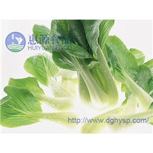 供应优质新鲜优质白菜绿色无污染欢迎订购量大从优