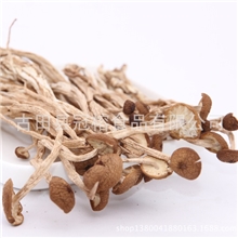 产地直销批发特级茶树菇茶薪菇冰菇盖嫩柄脆干货未开伞