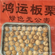 产地批发有机纸皮核桃