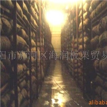 供应鲜板栗，速冻板栗仁，鲜板栗仁，水煮板栗肉