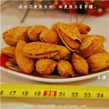 新疆特产干果特级椒盐巴旦木龙果巴达木坚果壳杏仁批发