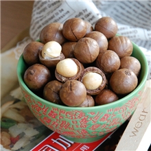 【求是】夏威夷果特级进口澳洲坚果年货休闲食品厂家直销250g