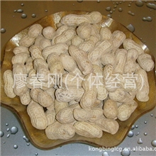 批发供应龙岩花生五香花生蒜香花生香酥花生