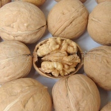 批发供应新疆核桃新疆特产薄皮核桃今年新货