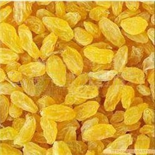 供应新疆提子干金皇后提子干