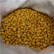 批发、供应散装速冻银杏仁