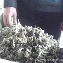 鸿宇中药材产地低价供应艾叶
