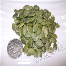 南瓜子仁天生有壳25Kg