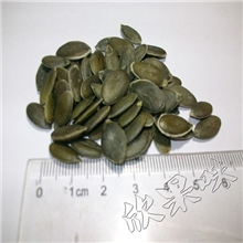 南瓜子仁天生无壳25Kg