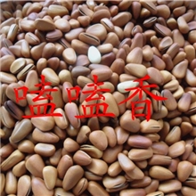 厂家批发小颗粒开口松子、松籽、红松子36元每斤