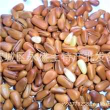 批发A级小颗粒油炸开口松子、红松籽