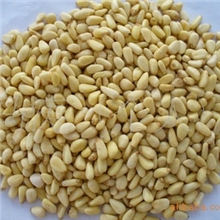 厂家批发供应松子仁核桃仁开口松子油炸开口松子