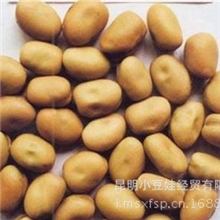 批量销售蚕豆休闲食品制作精良品质创优