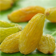 特产新疆供应黄绿无核白新货小珍珠绿玛瑙葡萄干批发