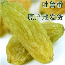 2013年新货/吐鲁番葡萄干/新疆特产干果/100g绿无核提子干样品