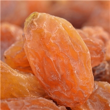 长期合作/黄色无核白葡萄干样品/大量批发正宗吐鲁番干果新疆特产