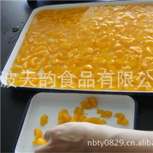 【天韵出品品质保证】供应新货出口级3000g*6桔子罐头