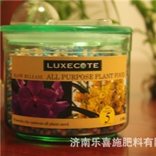 厂家直销花卉肥料花肥迷你花卉肥料绿植肥料瓶装肥料400g