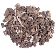 厂家供应--生物有机肥、柱状有机肥、粉状有机肥、品质保证