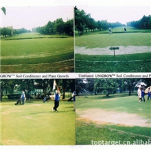 （大量供应）高尔夫球场草坪种植用微生物有机菌肥