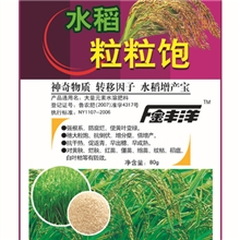 优于进口叶面肥水稻粒粒饱