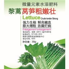 莴笋专用优于进口莴笋粗嫩壮