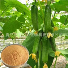 氨基寡糖素（分子量3000以下的农业级壳寡糖）