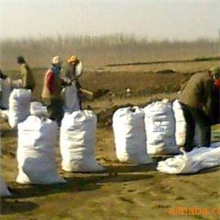 供应大量优质鸡粪有机肥糖渣保证价格全国最低