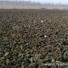 中嘉生物干鸡粪大块