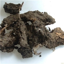 供应山西陕西鸡粪