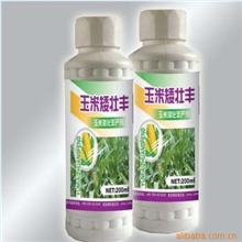 供应玉米矮壮增产型高效叶面肥料