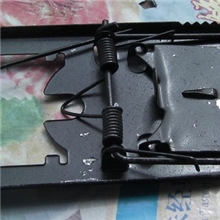 捕鼠夹/灭鼠专家推荐/鼠密度专业检测设备