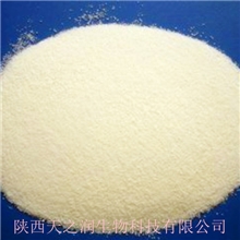 十年专业厂家供应熊果甙