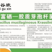 水谷欣富硒--胶质芽孢杆菌