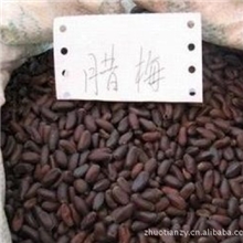 种子站出售当年新采的花卉林木树种子腊梅种子黄金茶