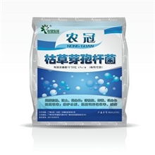 供应枯草芽孢杆菌肥料发酵菌种微生物肥料发酵菌枯草芽孢杆菌添加