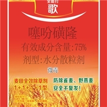 麦草全能除彪虎+噻吩磺隆+唑草酮