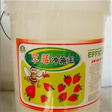 供应丹妮尔草莓冲施王