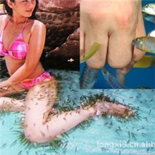 供应优质温泉鱼电话：13622200022