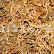 深海海龙鱼产地批发一手货源