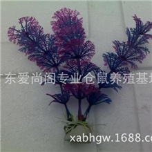 10厘米高水草紫色沉底水草仿真水草假草斗鱼饲养必备水草