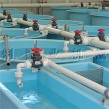 循环水养鱼实验设备/仿生态养鱼实验室/模式养鱼系统/鱼类毒理