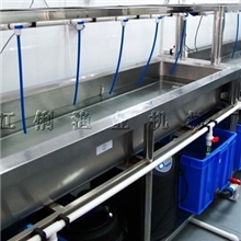 鱼类温度水浴实验系统