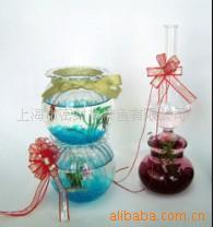 诚招小魔鱼卡通瓶,魔法鱼，懒人鱼代理加盟