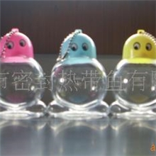 供应小魔鱼QQ瓶,QQ鱼瓶,密封鱼瓶，瓶中鱼瓶
